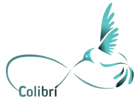 Logo Colibrí 2018